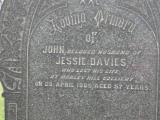 image of grave number 236619